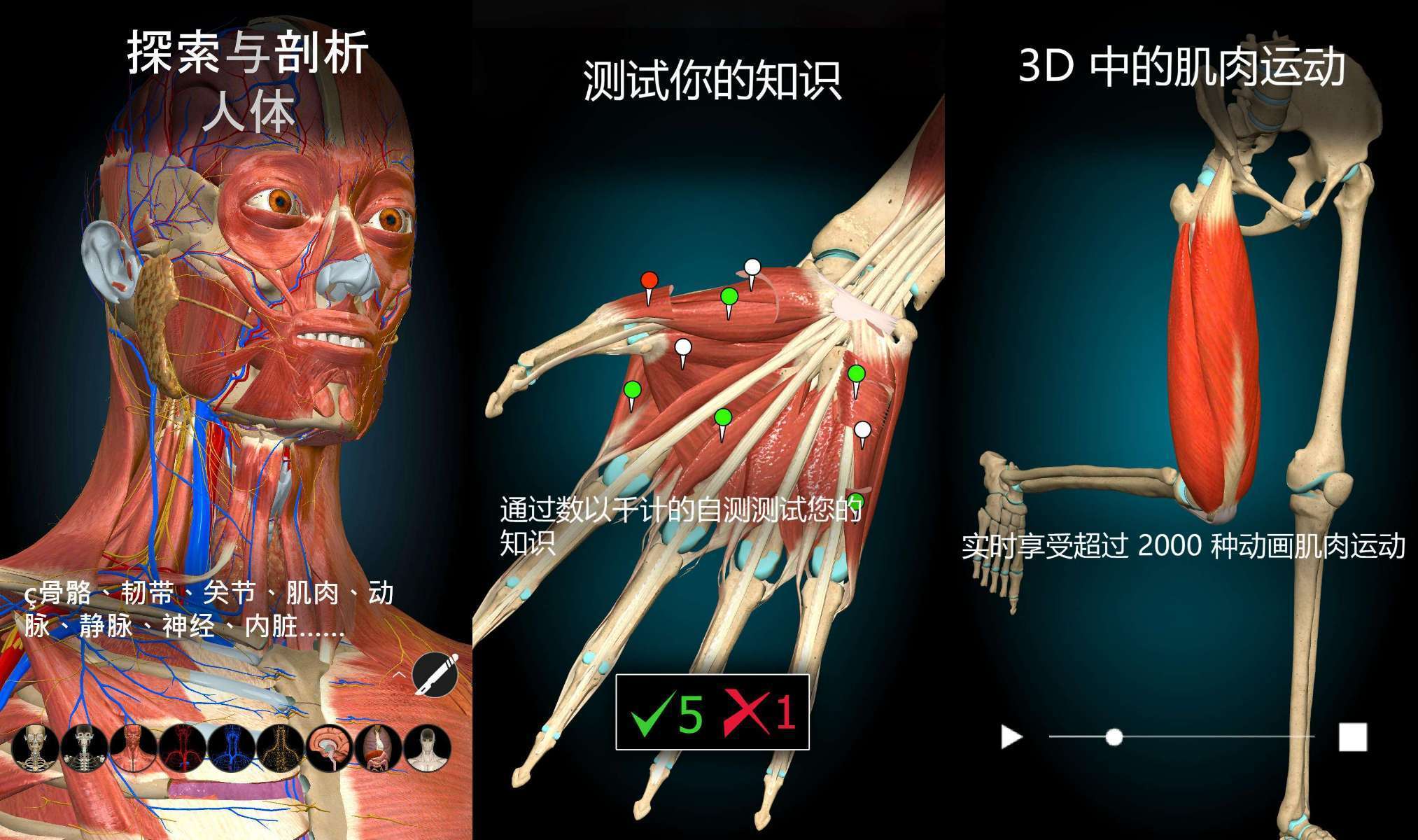 【合集】人体解剖图谱/今日水印相机/AI绘画/AI换造型/3D人体玩机攻略_手机技术分享  第5张