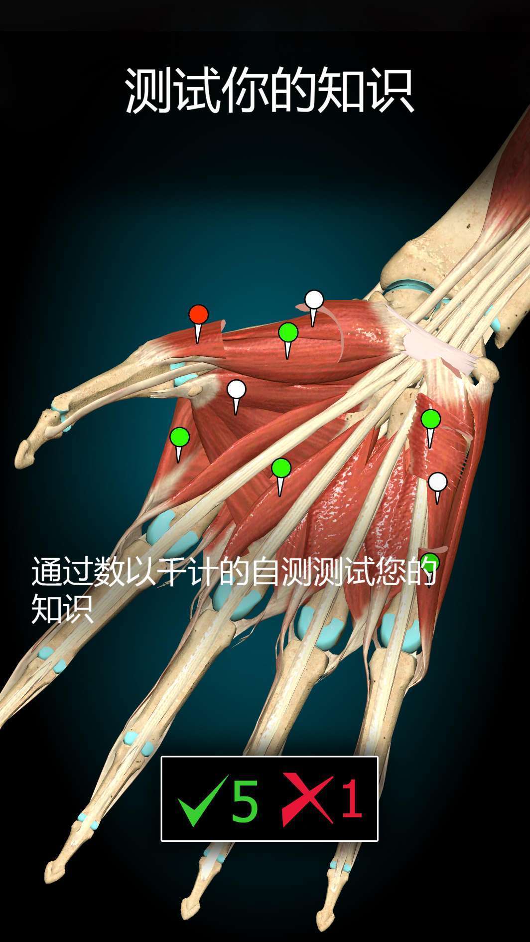 【分享】3D解剖学图谱 v2.1.392 解锁高级版玩机攻略_手机技术分享  第3张